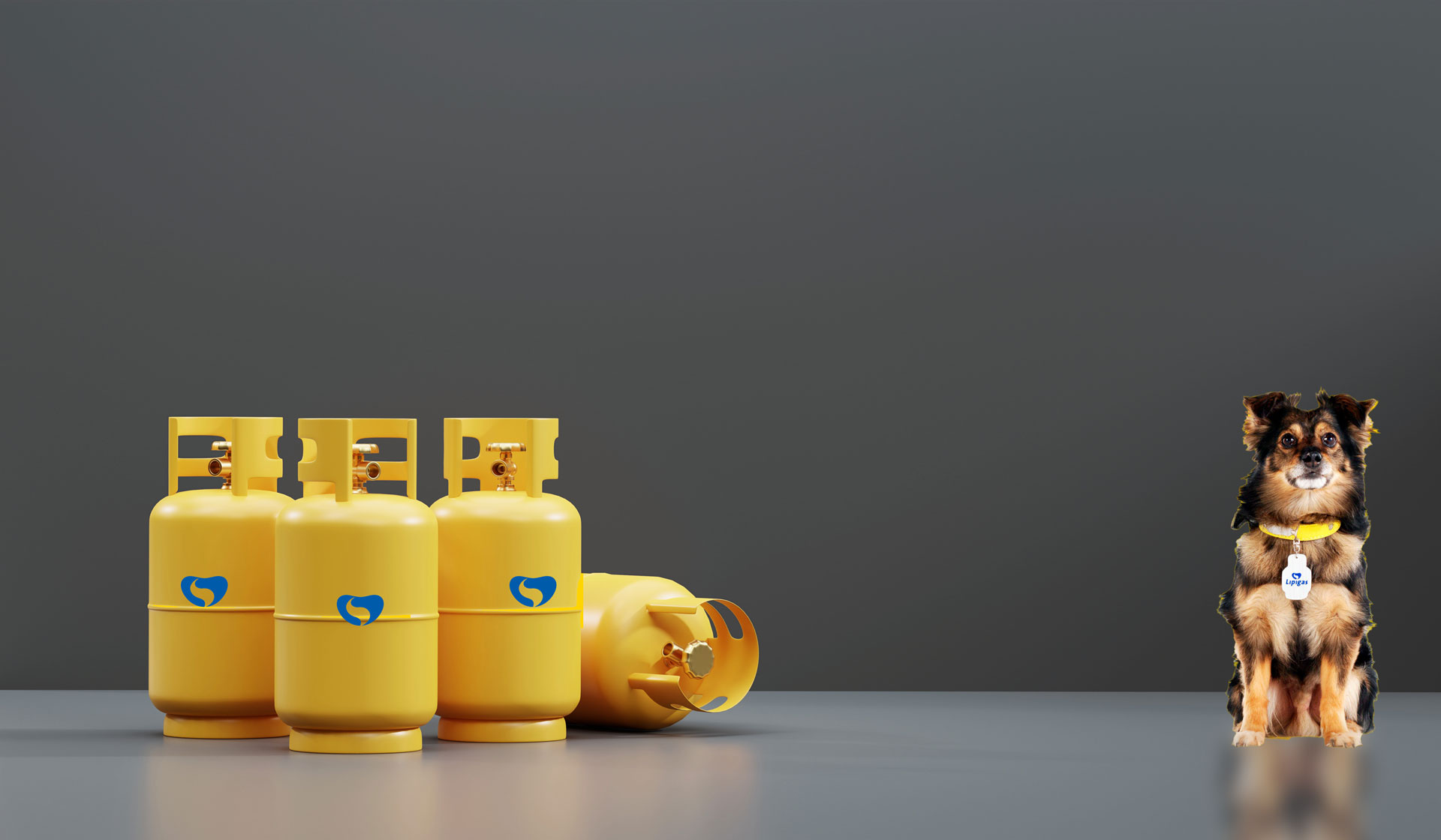 Gas licuado en La Florida a domicilio - Florigas